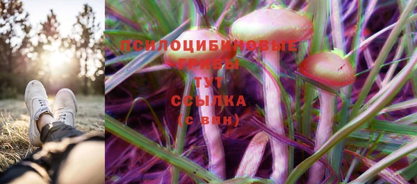 мет Алзамай