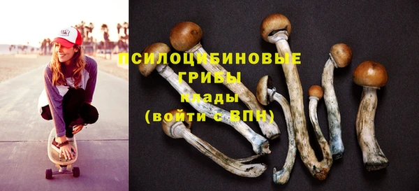 мет Алзамай