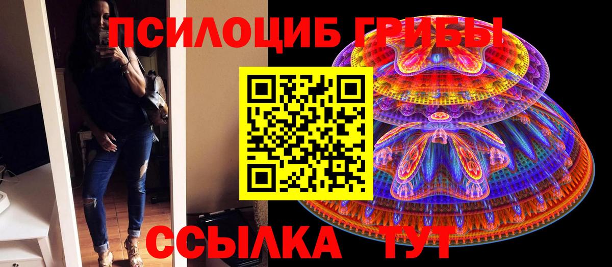 Псилоцибиновые грибы Psilocybine cubensis  Псилоцибиновые грибы Cubensis  Вход с VPN  Ачинск 