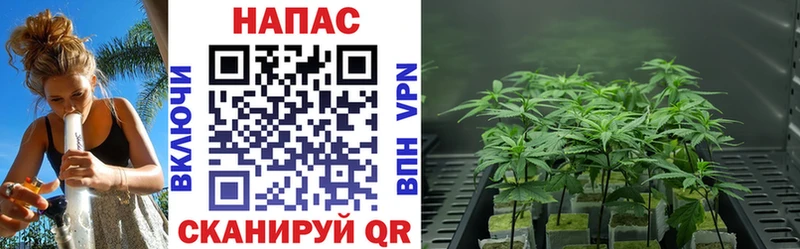 Канабис конопля  MEGA ССЫЛКА  Ачинск 